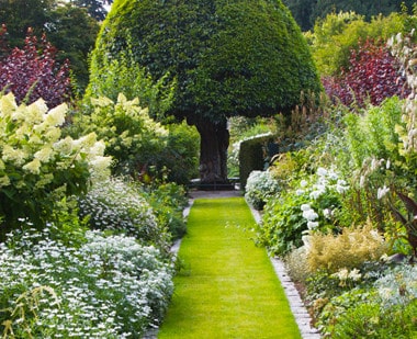 Topiary and More