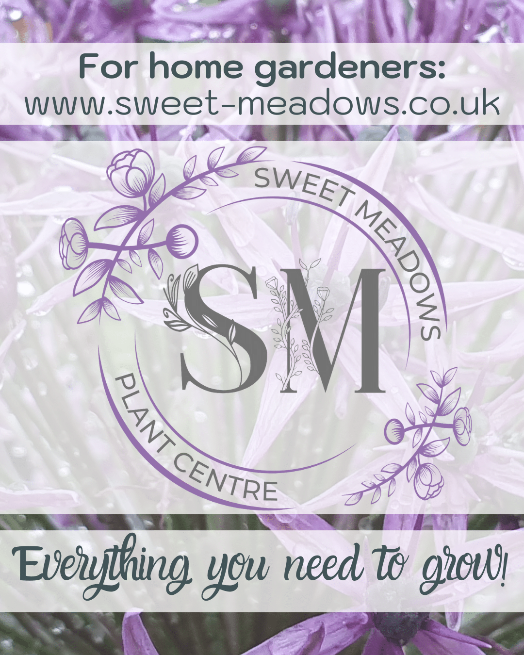 Sweet Meadows Plant Centre everything home gardeners need to grow
